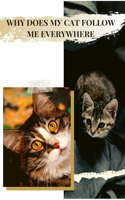 Why Does M&#1059; Cat Follow Me Everywhere: Your Cat Could Be B&#1054;red