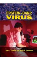 Epstein-Barr Virus