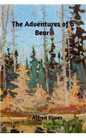 The Adventures of a Bear