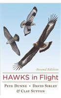 Hawks in Flight
