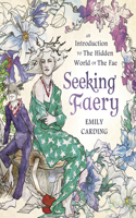 Seeking Faery