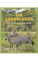 Grasslands