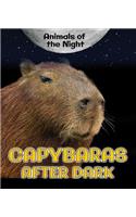 Capybaras After Dark
