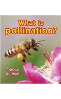 What is pollination?: (Big Science Ideas)