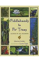 Fiddleheads to Fir Trees