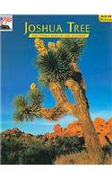 Joshua Tree: The Story Behind the Scenery(Story Behind the Scenery)