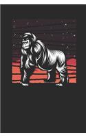 Gorilla Space