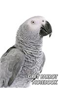 Grey Parrot Notebook