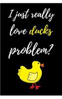 I Just Really Love Ducks, Problem?