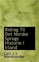 Bidrag Til Det Norske Sprogs Historie I Irland
