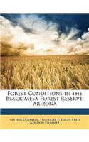Forest Conditions in the Black Mesa Forest Reserve, Arizona