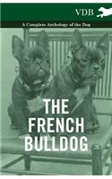 The French BullDog A Complete Anthology of the Dog