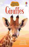 Giraffes: (Beginners)
