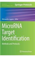 MicroRNA Target Identification