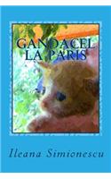Gandacel La Paris: Aventurile Lui Gandacel