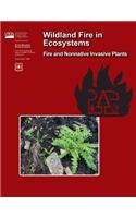Wildland Fire in Ecosystems Fire and Nonnative Invasive Plants