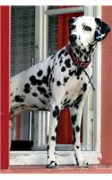 Dalmatian April Notebook Dalmatian Record, Log, Diary, Special Memories, To Do List, Academic Notepad, Scrapbook & More