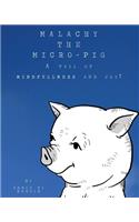 Malachy the Micro-pig