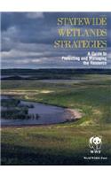 Statewide Wetlands Strategies