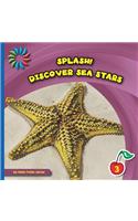 Discover Sea Stars
