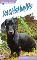 Dachshunds: (Dog Breeds)