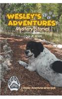 Wesley's Adventures