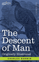 Descent of Man