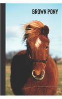 brown pony