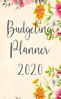 Budgeting Planner 2020: Financial planner organizer budget book 2020, Yearly Monthly Weekly & Daily budget planner, Fixed & Variable expenses tracker, Sinking Funds tracker