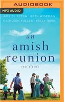 An Amish Reunion