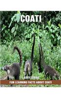 Fun Learning Facts about Coati