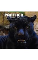 Panther Calendar 2019: 16 Month Calendar