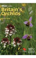 Britain`s Orchids