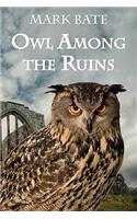 Owl Among the Ruins