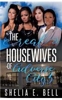 Real Housewives of Adverse City 3