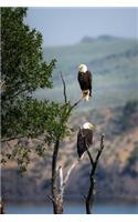 A Pair of Bald Eagles in a Tree in Alaska Journal: Take Notes, Write Down Memories in this 150 Page Lined Journal