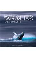 Whales Calendar 2018