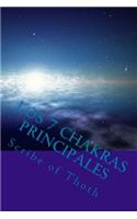 Los 7 Chakras Principales