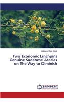 Two Economic Linchpins Genuine Sudanese Acacias on The Way to Diminish