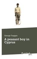 Peasant Boy in Cyprus