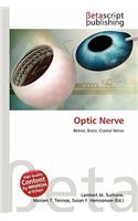 Optic Nerve