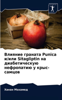 Влияние граната Punica и/или Sitagliptin на диабетическую