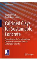Calcined Clays for Sustainable Concrete