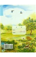 Easy Chinese Workbook B Book 7