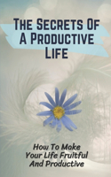The Secrets Of A Productive Life