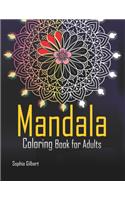 Mandala Coloring Book for Adults