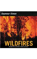 Wildfires