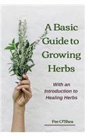 Basic Guide To Growing Herbs