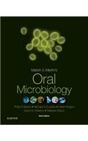 Oral Microbiology