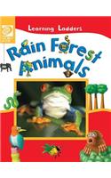 Rain Forest Animals